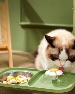 Fuente De Agua Para Gatos Con Comedero