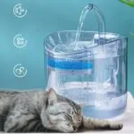 Fuente para Gato, Dispensador de agua